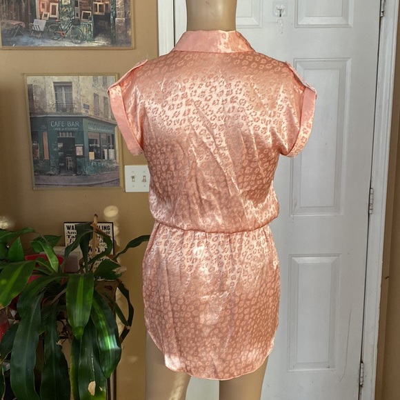 Joie daran sunset blush dress. G - Picture 8 of 10